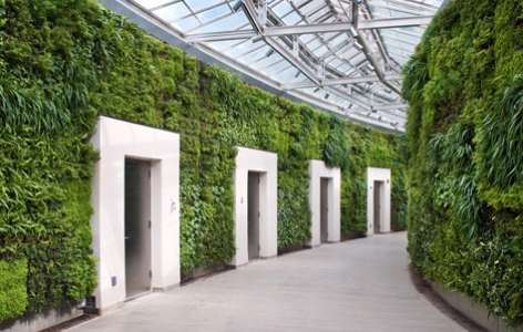 GSky - Longwood Gardens projekt