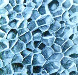 Struktura XPS-a Struktura XPS-a