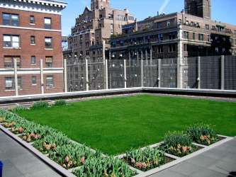 Calhoun School Green Roof Learning Center - New York